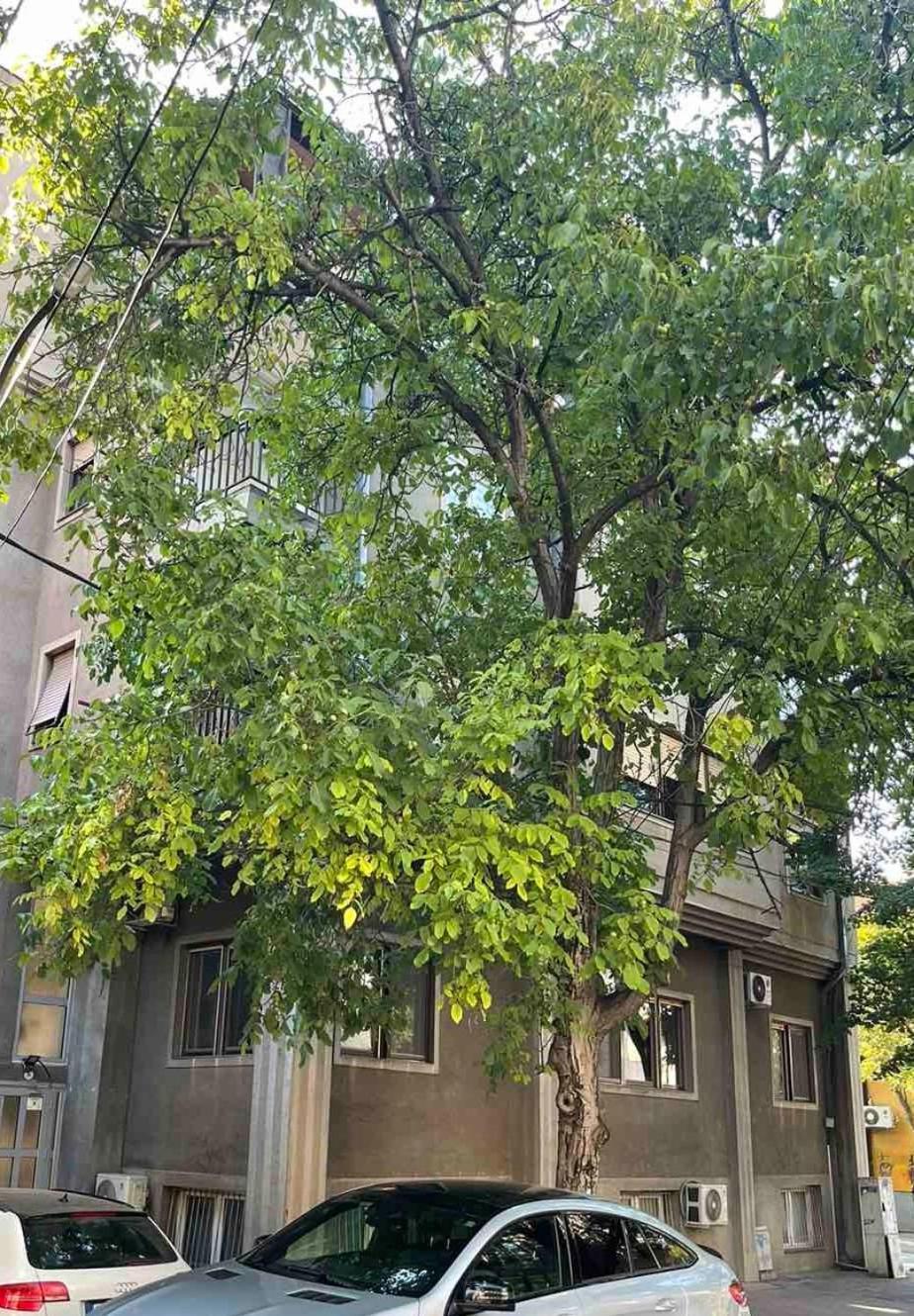Urban Stay Üsküp Dış mekan fotoğraf